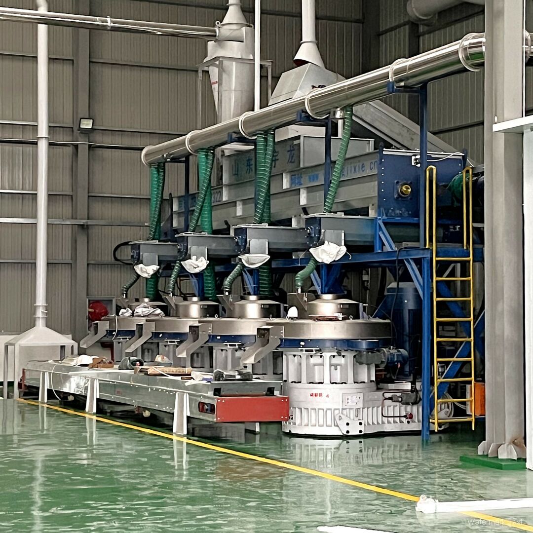 12–16 TPH Biomass Pellet Production Line with Multi Pellet Machines