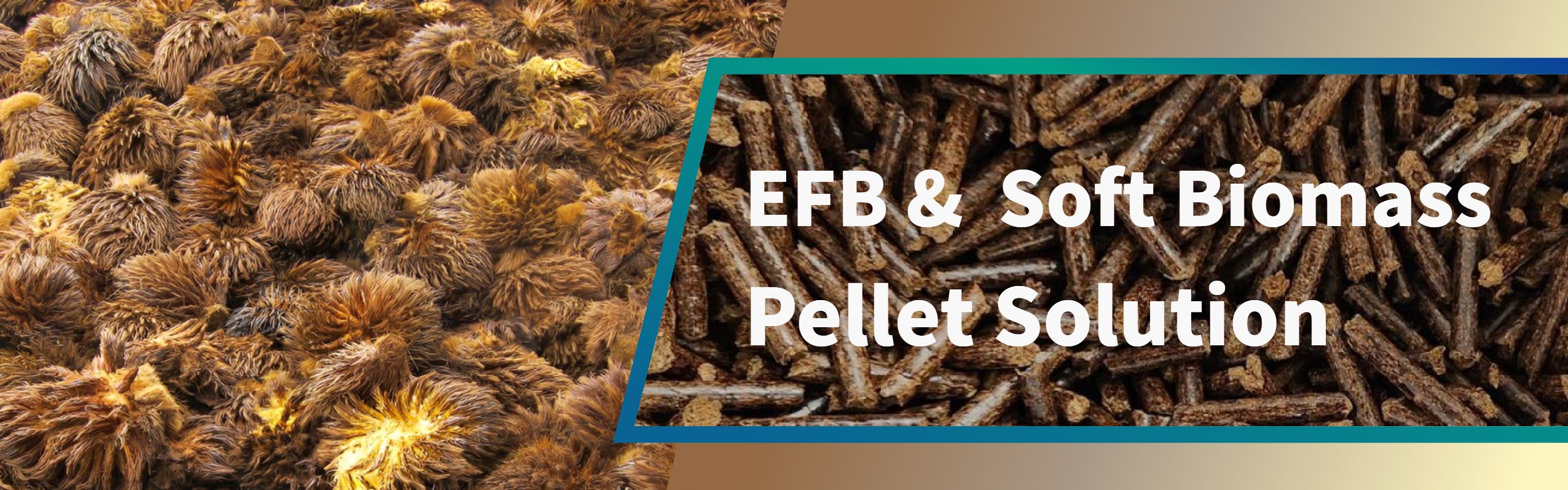 EFB Soft Biomass Pellet Solution