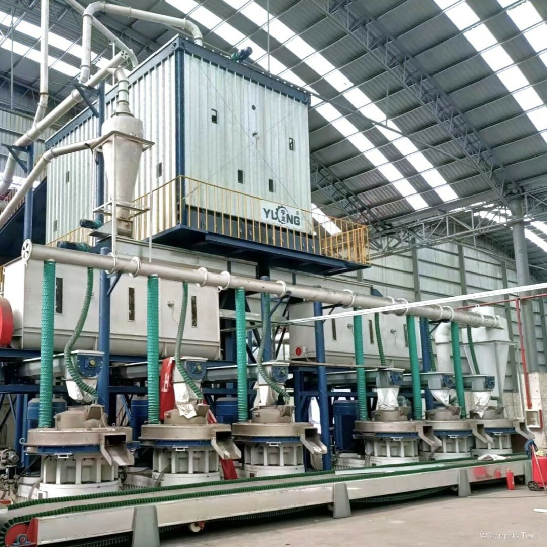 200,000-Ton Annual Biomass Pellet Production Line with Industrial Pellet Machines