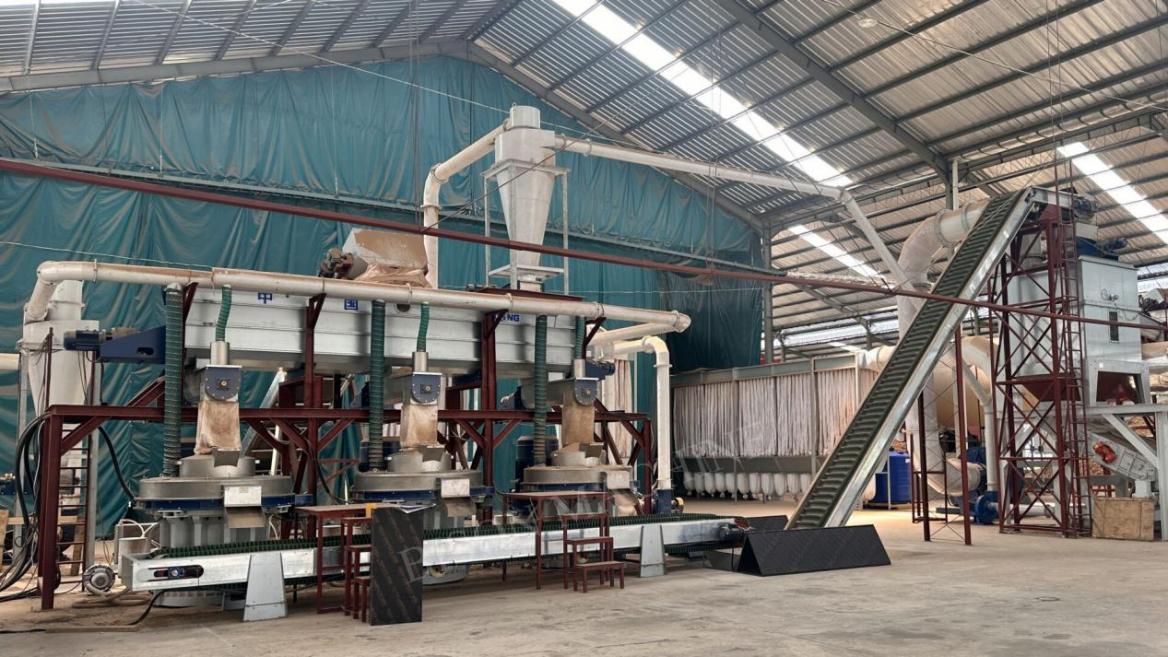 Maximizing Yield: The Role of a High Efficient Biomass Pellet Mill Supplier in Modern Forestry